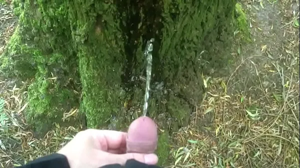 Nouvelles Homme pisse sur un arbre meilleures vidéos