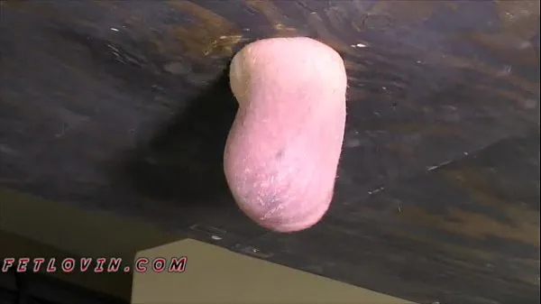Fresh Testicle Boxing Paradise - Low Res Sample best Videos