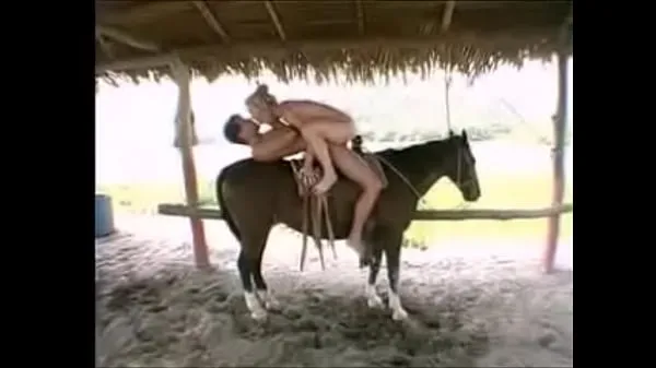 sobre el caballo mejores vídeos nuevos