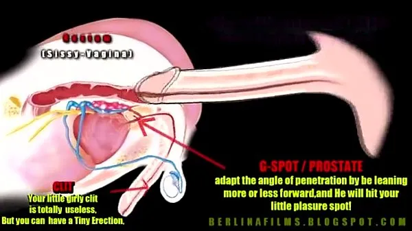 anatomia transexual mejores vídeos nuevos