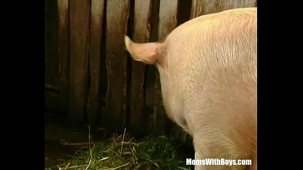 Fresh Brunette Lady Farmer Hairy Pussy Barn Fucked best Videos