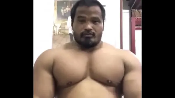 Nuovi Grande toro tailandese [tag: muscoli, bodybuilder, asiatico, muscoloso, massiccio, grosso, pettorali, pec che si flette, pec saltando, petto, posa, flettendo, fusto, muscoloso, fuori stagionevideo migliori