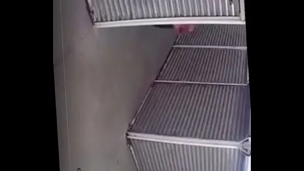 Nejnovější Nalgona pissing in the little step chihuahua nejlepší videa