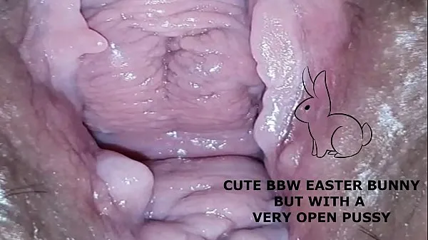 최신 Cute bbw bunny, but with a very open pussy 최고의 동영상