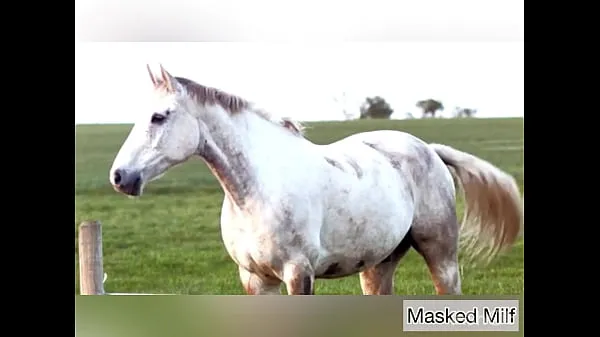 Friske Horny Milf takes giant horse cock dildo compilation | Masked Milf bedste videoer