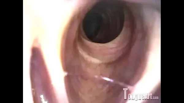 Fresh Paige "Trachea Revealed best Videos